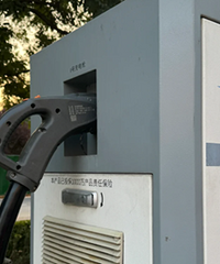 ʲôʱ����׮��ǹ����㰡��