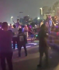 ��ţ������DISCO