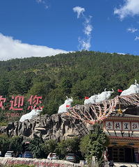 ���㹫·�����������������