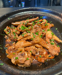 �������ʲô������·�ľ�ͷ�����һ����ɫʳ��