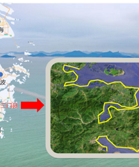 ����3��Ԫ�����������Ŀ��Χ���ҡ���ɫ���塱��Ŀ��