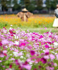 �Ⲩ���µ����е��ף�̨����Ҫע��