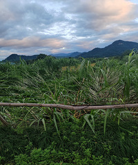 �������ġ���̨�硰���ݡ�Ӱ�죬���ᶼſ���ˡ�