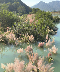 ��Լ���졫«έ��