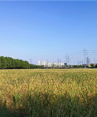 �紵���˵ļ���