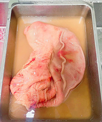 �������ʲô����һ��Ū���ǣ���ϴ��ʼ������ϴ������