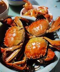 �������ʲô���ƾ�����з���˺��ǣ���һ�룬����ů����