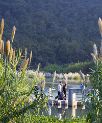 С֥��ɫ�����Ż����������֡�ʤ�ӹŴ�