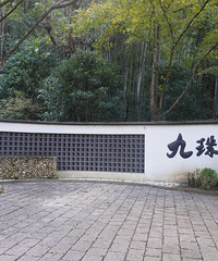 [����]����̶������Ȼ������䱦֮��