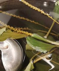 ̨���˳Թ������ҩ��