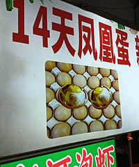 ҹ����һ��ʮ���շ�˵�����̫���߰׵ĺ�Ӳ