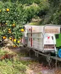 ̫ţ�ˣ�̨��ֻ�г���ѧ���������������ӣ������ɵ���