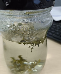 �ƶ���ƿ�ӵ��豭