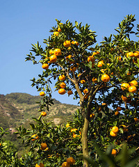 ���ӳ����