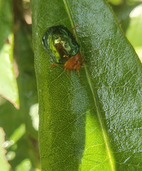 ����ʲô�棿��һ��������10����