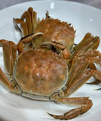 ���������У�����̨���˰��ԣ�ҽ�������ϰ��Ҫ����