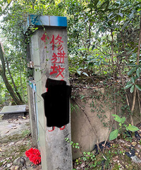 ��涼������ͷ��