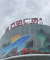 ����������Ԥ����