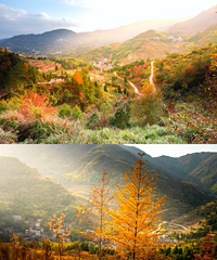 ��˵��һֱ�ڵ��������㻦���ϵ���ɫ����������ֱ�