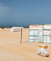 [����]��լ���ɳĮ�У�����û��һ����