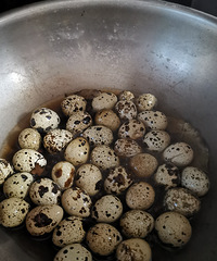 �������ʲô����з�Ѿ������ˣ����ȵ������۰���