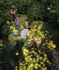 ̨�ݵ���Щʱ����ʳ���㳢������