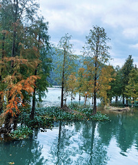 С֥�����֣���û�����ڣ�������û��