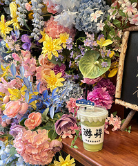 ��2024�μǡ��β���裬�ܶ��˶���֪֮����