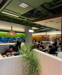 �������ʲô��ɽϵ����������ر���ʢ