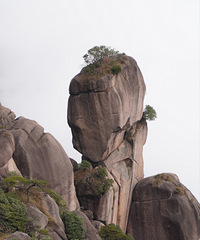 ��ɽ���ϣ������ƻõ��ɾ�����