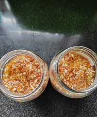 �������ʲô���������ؽ�