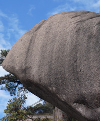 ��ɽ���ϣ������ƻõ��ɾ�����