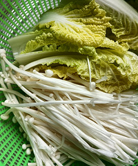 �������ʲô������Ϻ����˿��