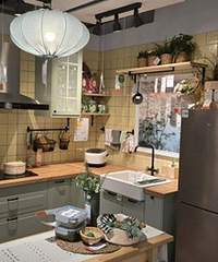 �����˼ҵ���ĵ��������ߴ�����