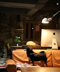 ���壡Լ��11�¾ͳ��������ٺ���һ�������Ρ�