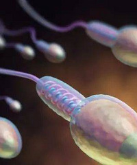 ����ͬ����û�ܸ����������ľ��Ӷ�ȥ������