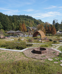 ���ɽ����������Ͻ�֯�Ŀ���