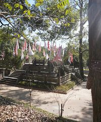 ���ɽ����������Ͻ�֯�Ŀ���