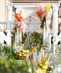 ������ա����š����֡�����