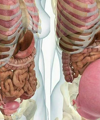 ԭ������ʱ�����ᱻ������