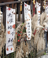 ��2024�μǡ����������ֿ�ɹ��