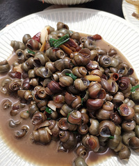 �������ʲô��רҵ�¾Ʋˣ����ϺͿ���