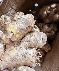 [��ʳ]������������Ƭ������ůθ����