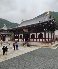 ����Ϫ���Ժ