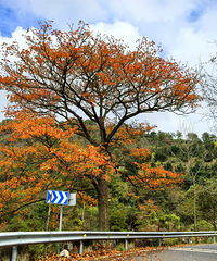 �²���������