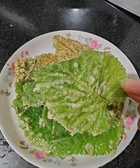 �������ʲô����һ��ըɣҶ