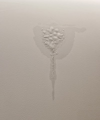 �����������꣬��ǽ©ˮ�ѵȴ�9���£����������һ����ȷ�Ĵ�