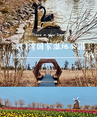 ȫ��ʾ�����㽭��̨��1�Ź�·�񻷶Σ��㲻�ỹû����