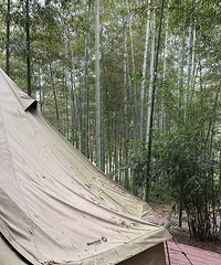 סһ������