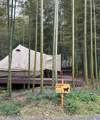 סһ������������������������